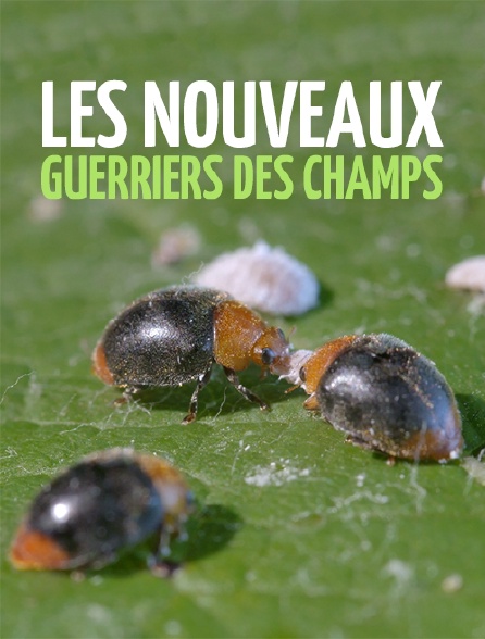 Les nouveaux guerriers des champs