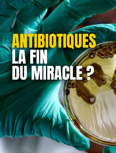 Antibiotiques, la fin du miracle ?