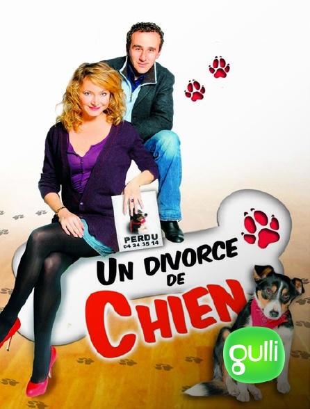 Gulli - Un divorce de chien