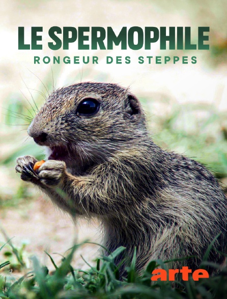Arte - Le spermophile, rongeur des steppes