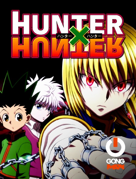 Hunter X Hunter En Streaming Replay Sur Gong Max Molotov Tv