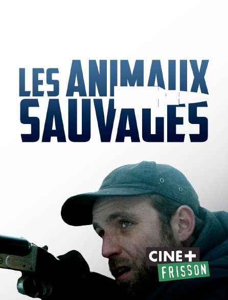 Ciné+ Frisson - Les animaux sauvages