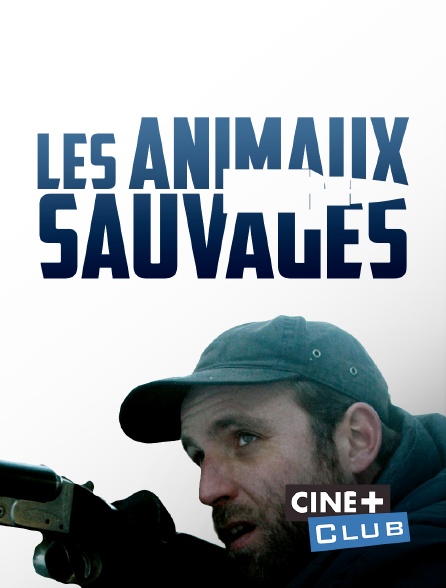 Ciné+ Club - Les animaux sauvages