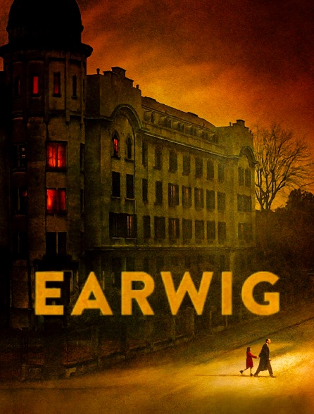 Earwig