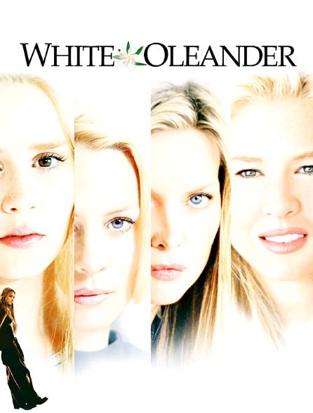 Laurier blanc