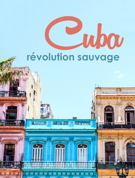 Cuba, révolution sauvage