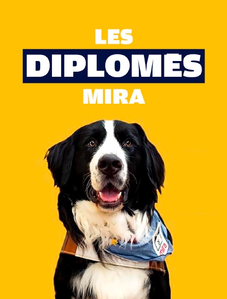 Les diplômés Mira