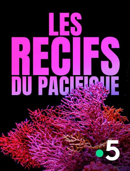 France 5 - Les récifs du Pacifique