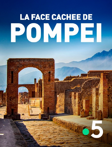 France 5 - La face cachée de Pompéi