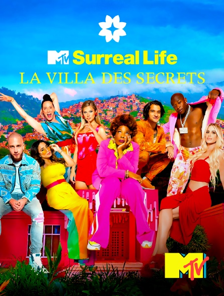 MTV - The Surreal Life : La villa des secrets