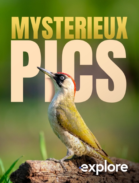 EXPLORE - Mystérieux pics