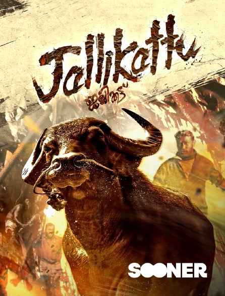 Sooner - Jallikattu