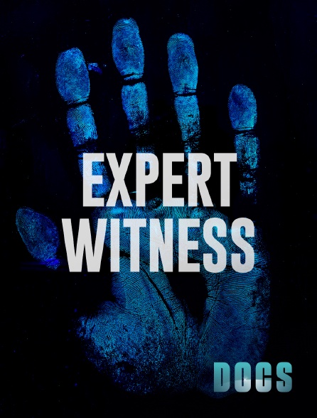 Molotov Channels Docs - Expert Witness