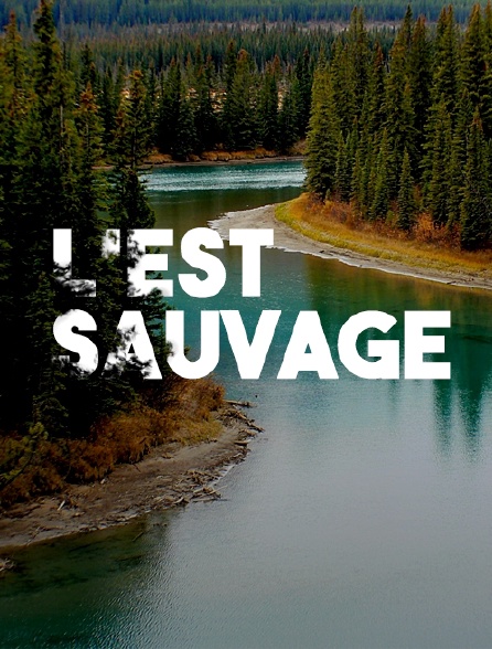 L'Est sauvage