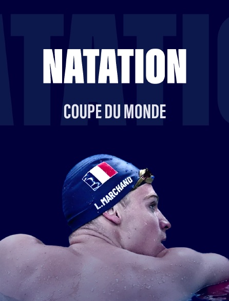 Natation - Coupe du monde