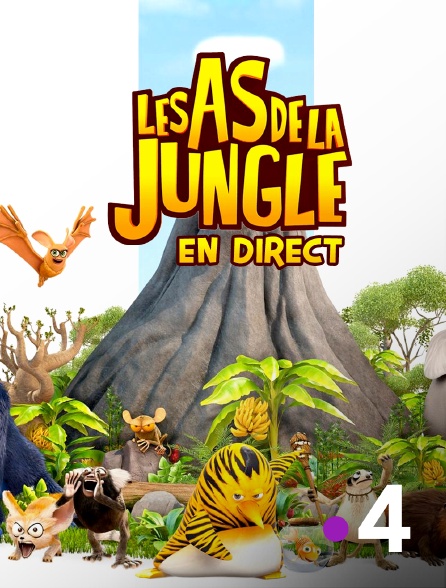 France 4 - Les as de la jungle : en direct