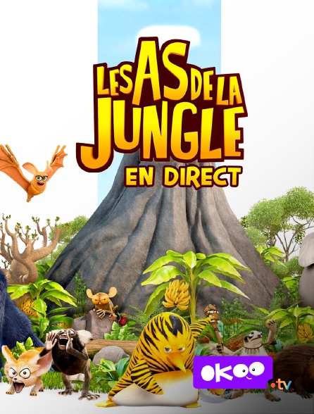 Okoo - Les as de la jungle : en direct en replay