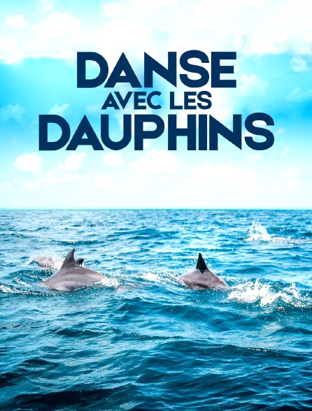 Danse avec les dauphins