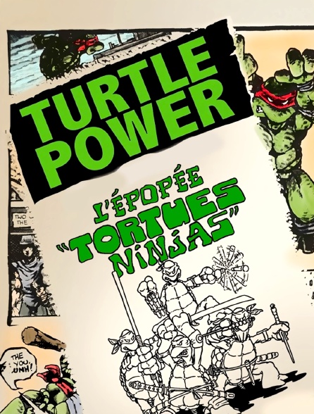 Turtle Power : L'épopée "Tortues Ninjas"