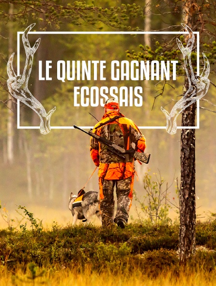 Le quinté gagnant écossais