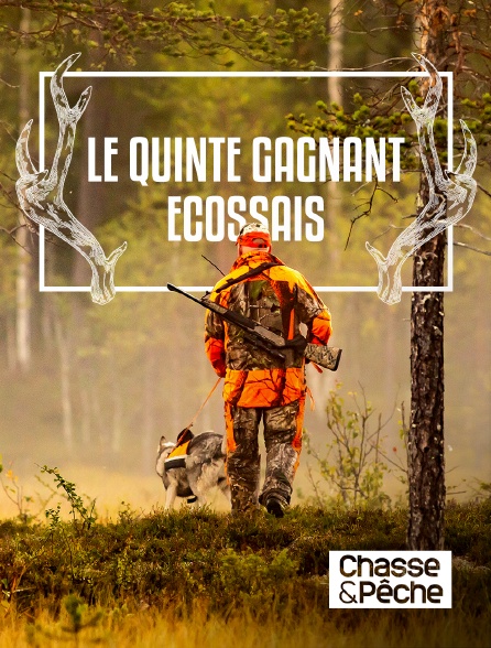 Chasse et pêche - Le quinté gagnant écossais