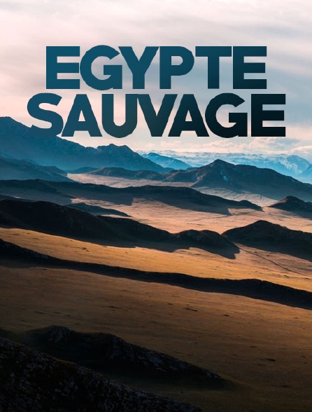 Egypte sauvage