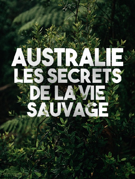 Australie, les secrets de la vie sauvage