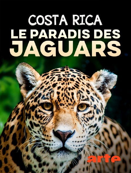 Arte - Costa Rica : Le paradis des jaguars