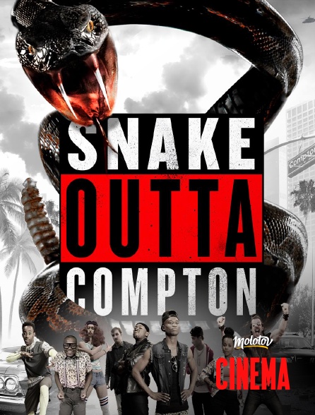 Molotov Channels Cinéma - Snake Outta Compton