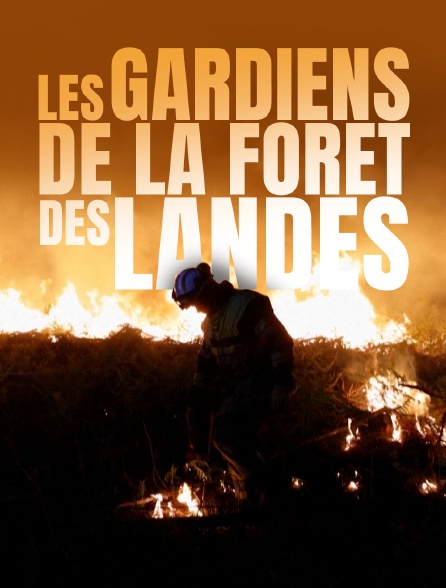 Les gardiens de la forêt des Landes