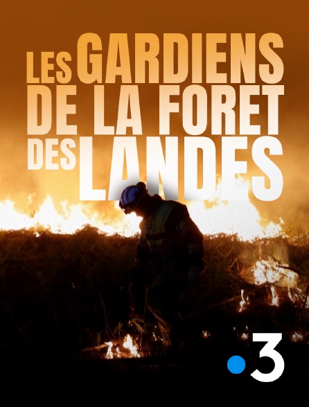 France 3 - Les gardiens de la forêt des Landes