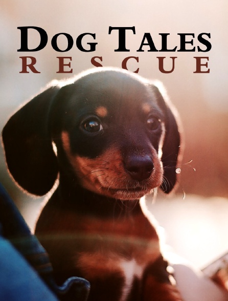 Le refuge Dog Tales