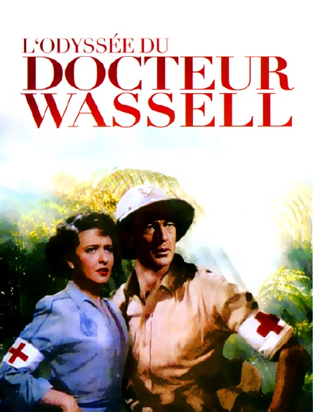 L'odyssée du docteur Wassell