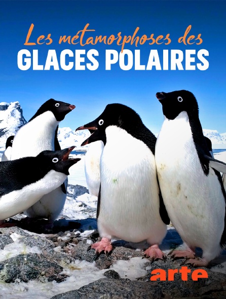 Arte - Les métamorphoses des glaces polaires : Un défi pour les écosystèmes