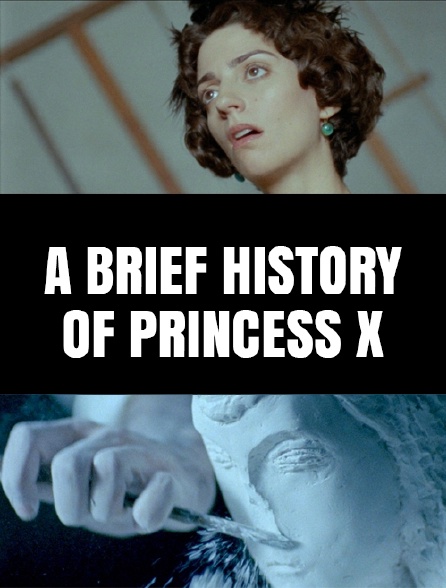 Histoires courtes: A Brief History of Princess X