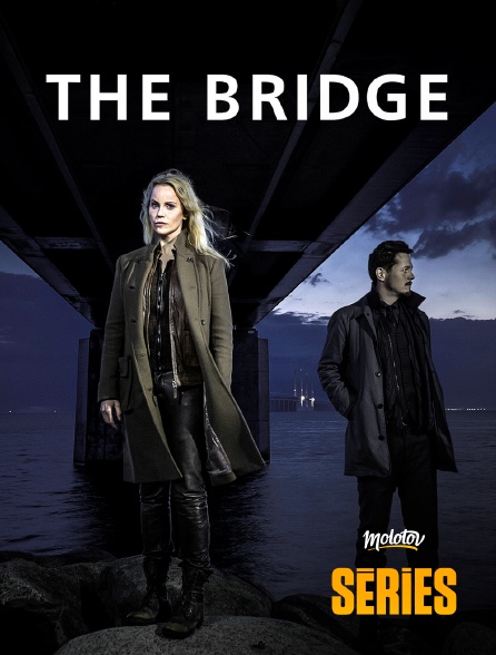 Molotov Channels Séries - The Bridge