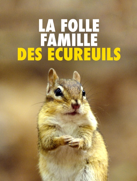 La folle famille des écureuils