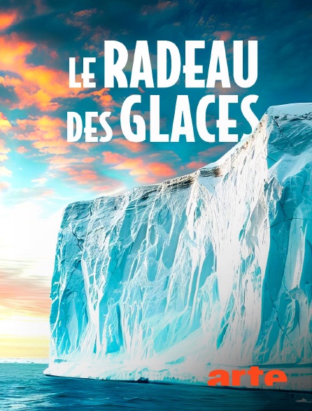 Arte - Le radeau des glaces