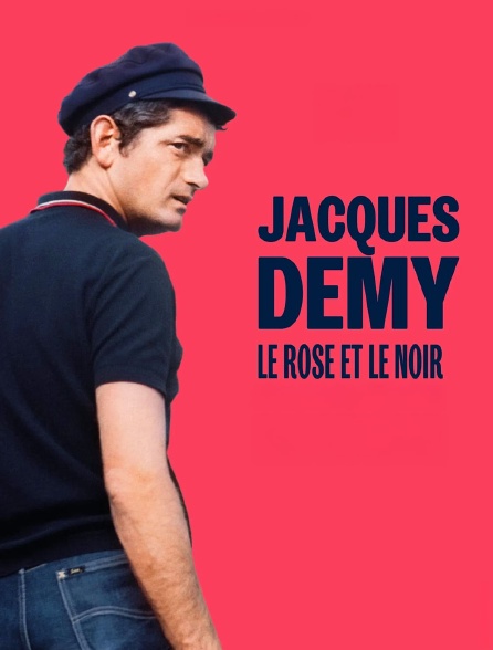 Jacques Demy, le rose et le noir