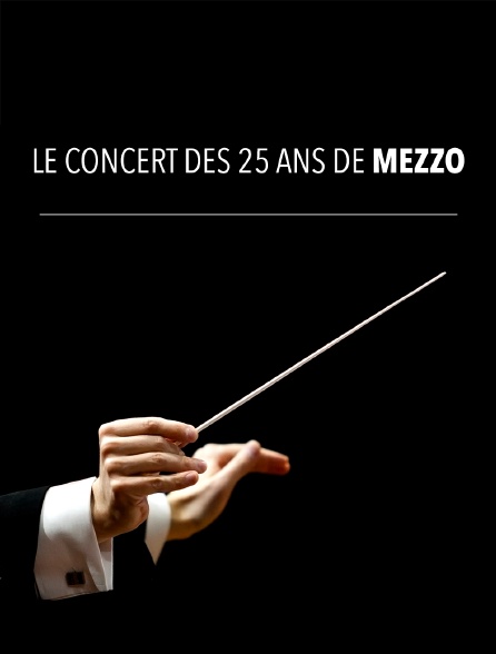 Le concert des 25 ans de Mezzo