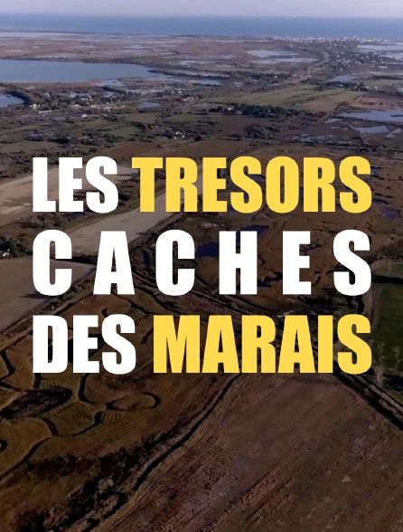 Les trésors cachés des marais