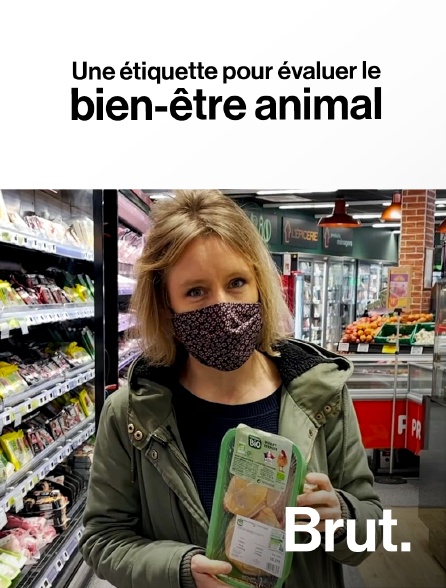 Brut - Une étiquette pour évaluer le bien-être animal