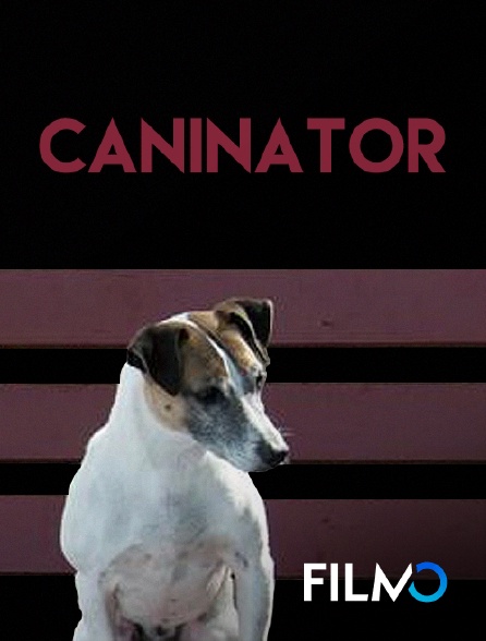FilmoTV - Caninator