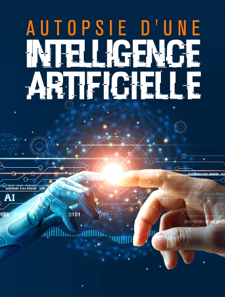 Autopsie d'une intelligence artificielle