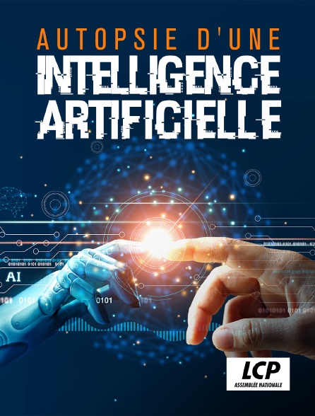 LCP 100% - Autopsie d'une intelligence artificielle