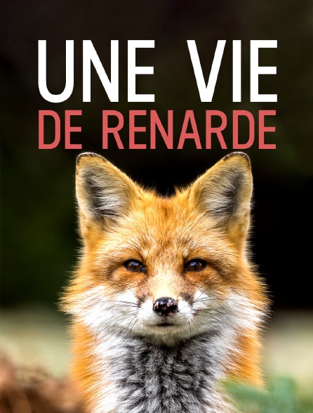 Une vie de renarde