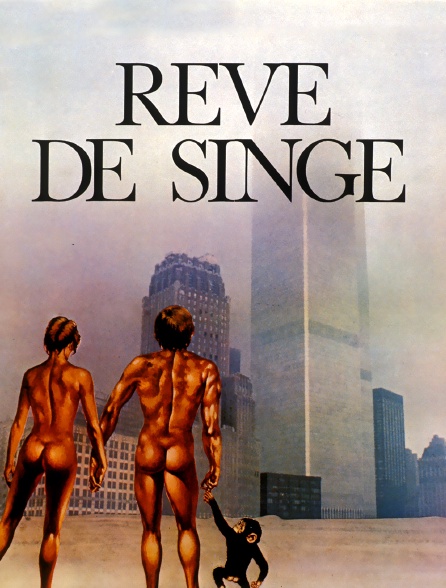 Rêve de singe