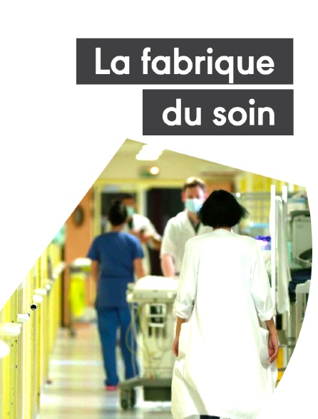 La fabrique du soin