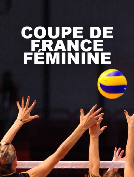 Volley-ball - Coupe de France féminine