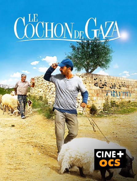 CINÉ Cinéma - Le cochon de Gaza